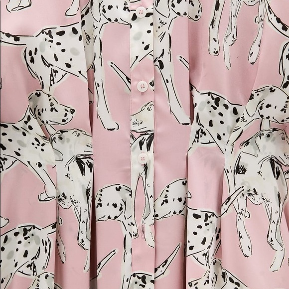 Zara Dresses Iso Dog Print Shirt Dress Poshmark